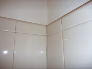 repairing homes Boise