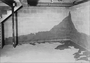 I Have Water in My Basement, Now What?