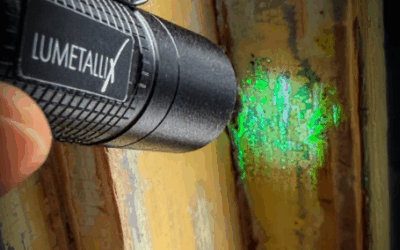 Bringing Lead On Home To You